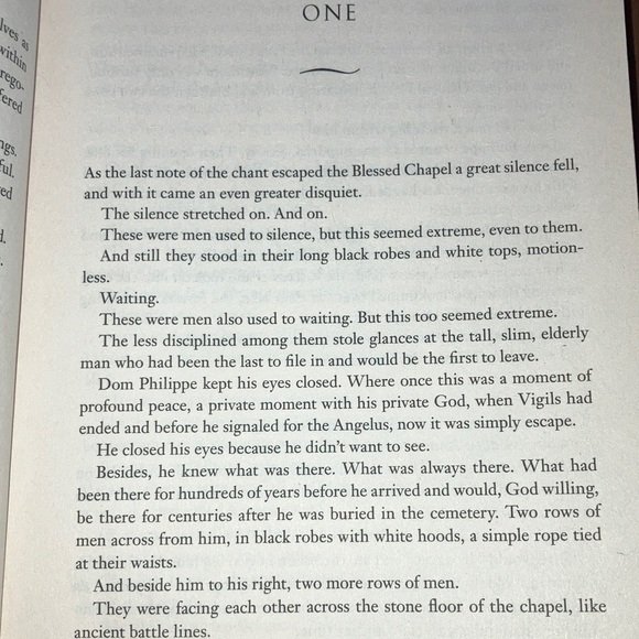 The Beautiful Mystery by Louise Penny - detective Book - Picture 11 of 14